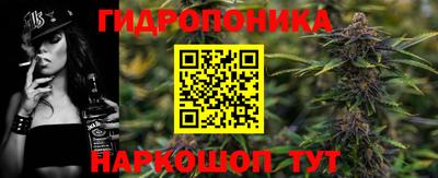 молекула духа Кингисепп
