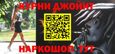 молекула духа Кингисепп