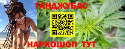 молекула духа Кингисепп