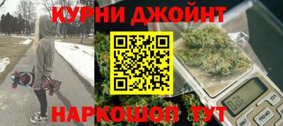 молекула духа Кингисепп