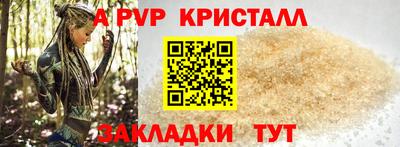молекула духа Кингисепп